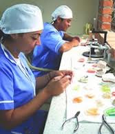 diplomados a distancia, educaci&oacute;n a distancia, instituto de desarrollo gerencial idg